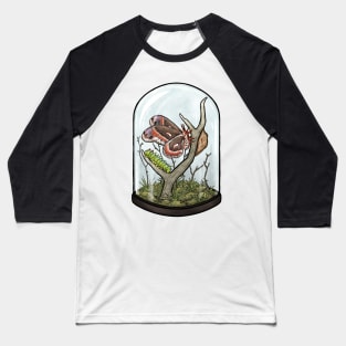 Cecropia Moth Terrarium Baseball T-Shirt